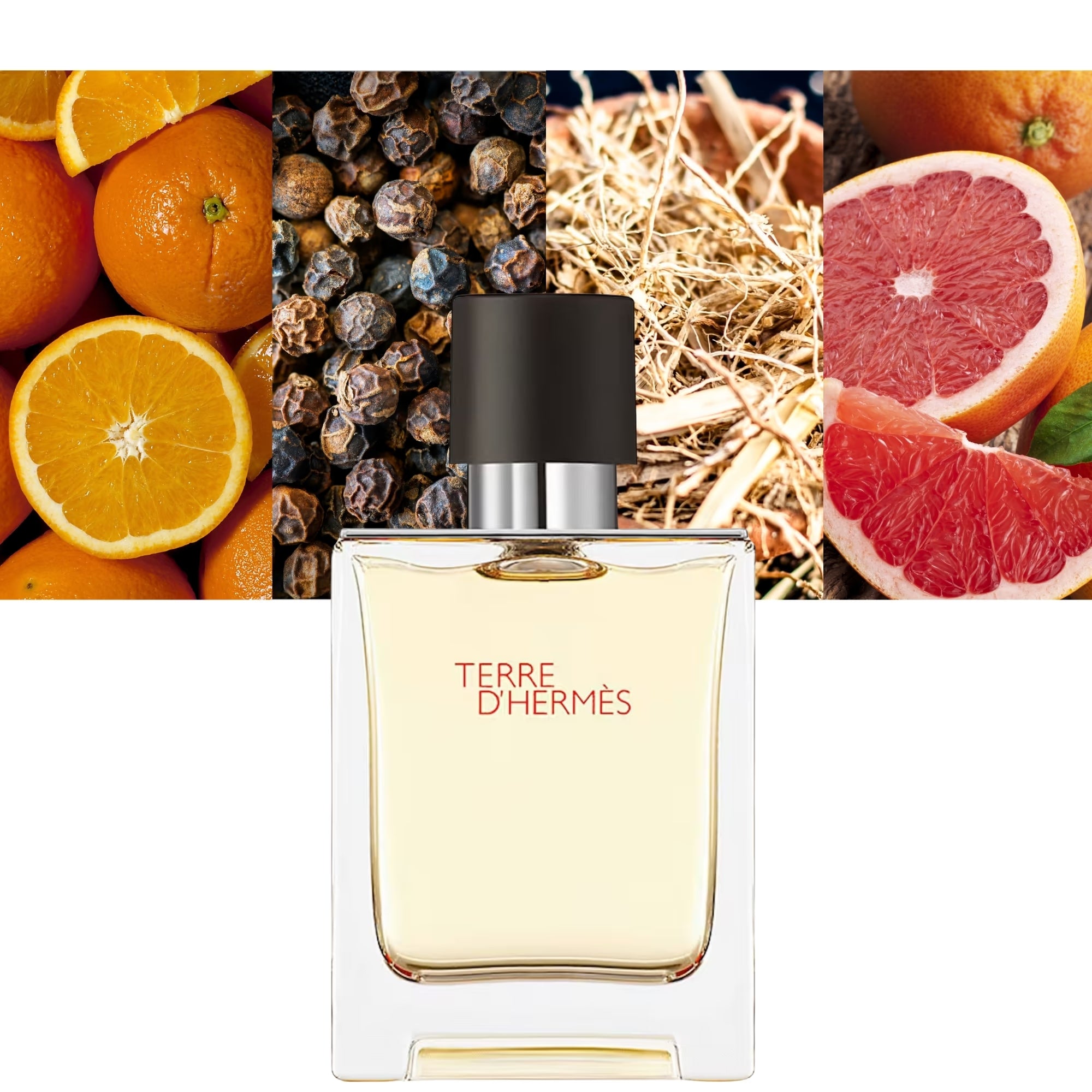 Hermès | Terre D'Hermes (M) EDT 1.0oz