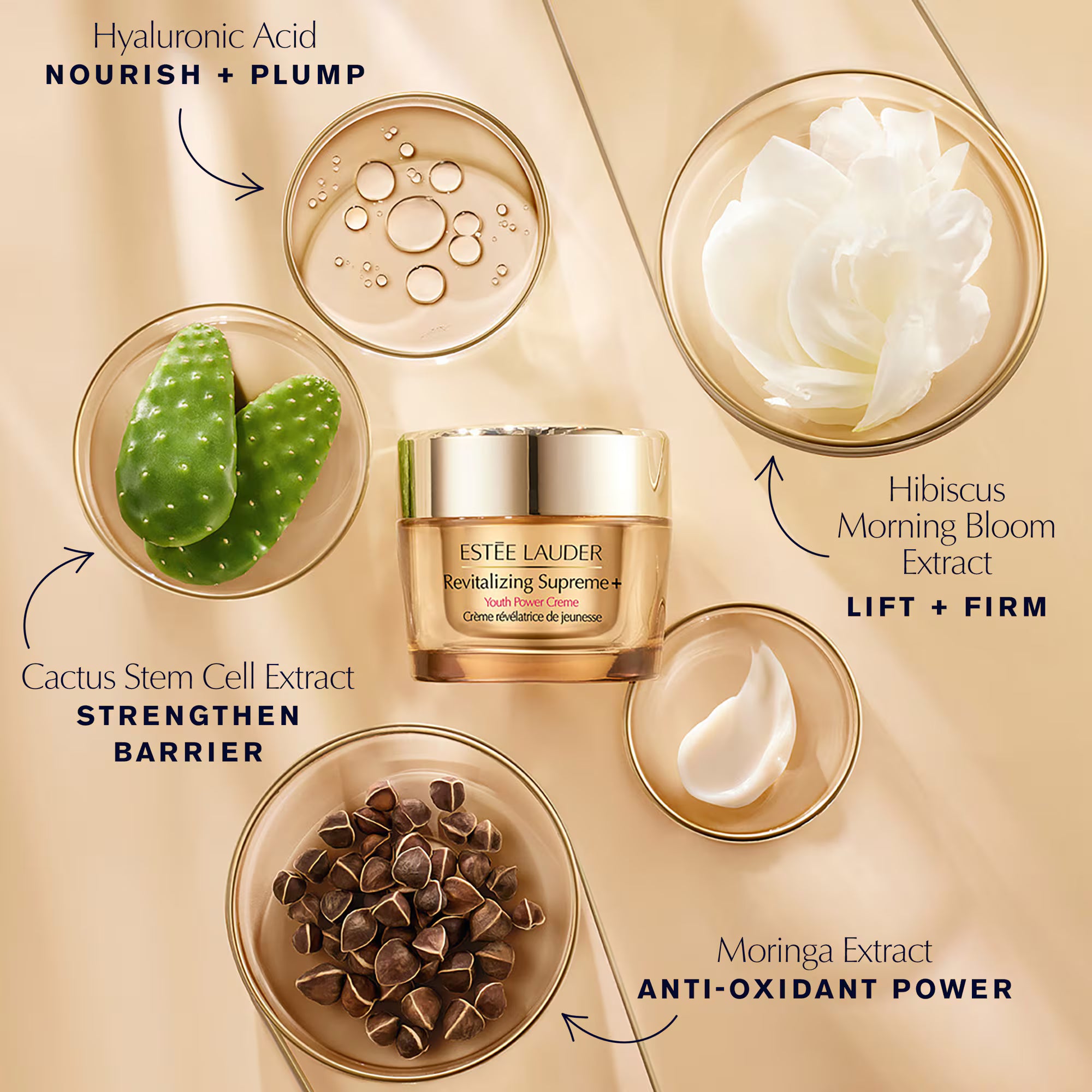 Estee Lauder Revitalizing Supreme+ Youth Power Creme 100mL